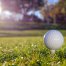 up close image of golf ball on tee